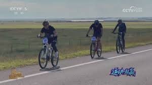 [羽毛球]李诗沣不敌奈良冈功大 遭遇小组赛两连败